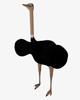 Black Ostrich Png Pictures - Golf, Transparent Png, Free Download