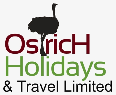 Ostrich Holidays And Travel Limited - A5 Size, HD Png Download, Free Download