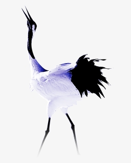 Transparent Ostrich Clipart - Crane, HD Png Download, Free Download