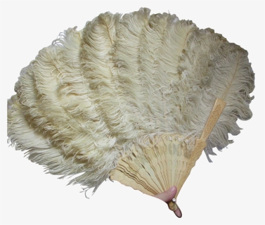 Victorian Edwardian Ladies Ostrich - Transparent Ostrich Feather Png, Png Download, Free Download