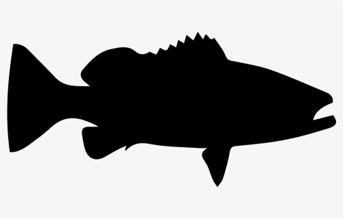 Cartoon Clip Art - Grouper Fish Clipart Black And White, HD Png Download, Free Download