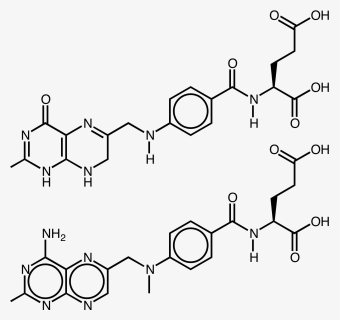 Isoptin Lp 240 Mg - Dihydrofolic Acid, HD Png Download, Free Download