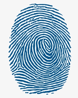 Fingerprint Encapsulated Postscript Clip Art - Fingerprint Png, Transparent Png, Free Download