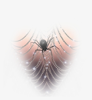 #freetoedit #spider #spiderwebs - Spider Web, HD Png Download, Free Download