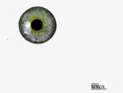 #ojos #eyes #grises #faces #calcomania #servin #interesting - Circle, HD Png Download, Free Download