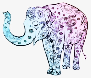 Henna Elephant Clipart , Png Download - Elephant Drawing Color, Transparent Png, Free Download