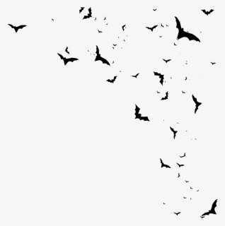 Transparent Flying Bats Png, Png Download, Free Download