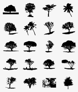 Transparent Tree Silhouette Vector Png - Architectural Tree Silhouette, Png Download, Free Download