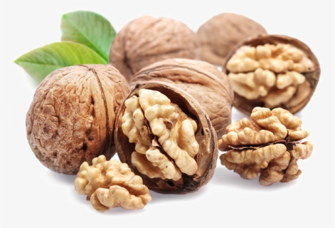 Walnut Png File - 1 Walnut, Transparent Png, Free Download