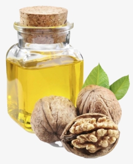 Walnut Oil Png Clipart - Unsaturated Vegetable Oil, Transparent Png, Free Download
