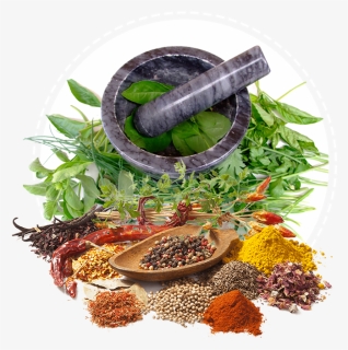 Ayurveda Services Health Medicine Herbalism Herbal - Ayurveda Png, Transparent Png, Free Download
