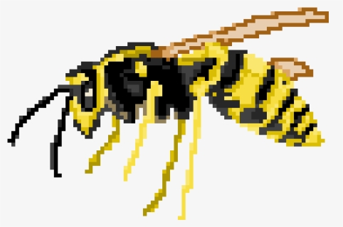 Wasp1, HD Png Download, Free Download