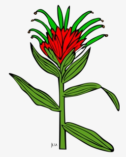 Line Art,plant,flora - Clip Art, HD Png Download, Free Download