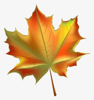 Transparent Leaf Pile Png - Fall Leaf Transparent Background, Png Download, Free Download