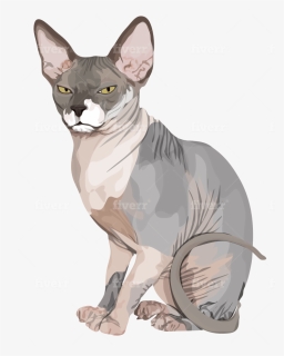Sphynx, HD Png Download, Free Download