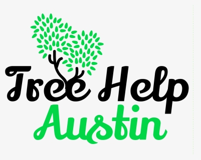 Logo - Cleaning Services, HD Png Download, Free Download