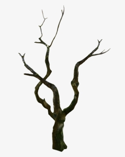 #treetrunk #tree #oldtree #spooky - Wood, HD Png Download, Free Download