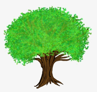 Tree Cartoon Transparent Background, HD Png Download, Free Download