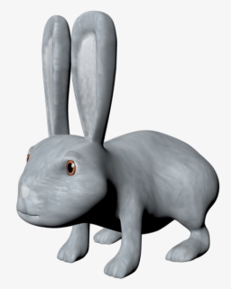 Domestic Rabbit, HD Png Download, Free Download