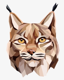 Lynx Vector Geometric - Geometric Lynx, HD Png Download, Free Download