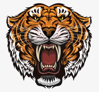 Angry Free Wild Tiger Head Attack - Rosto Tigre Vetor, HD Png Download, Free Download