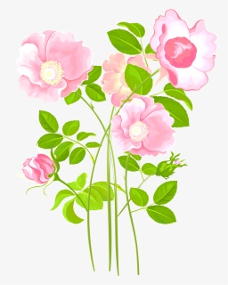 Transparent Garden Plants Png - Garden Roses, Png Download, Free Download