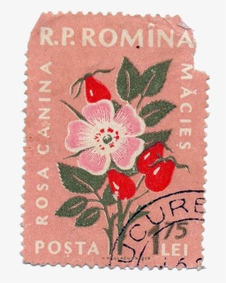#stamp #vintagestamp #oldstamp #flower #flowers - Vintage Floral Postage Stamp, HD Png Download, Free Download