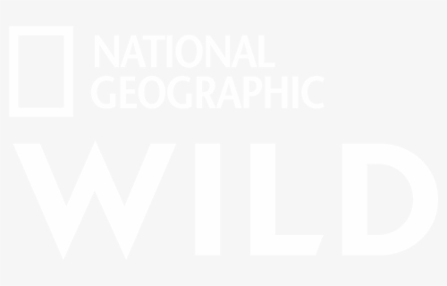 National Geographic Wild Logo, HD Png Download, Free Download