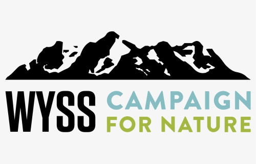 Wyss Campaign For Nature, HD Png Download, Free Download