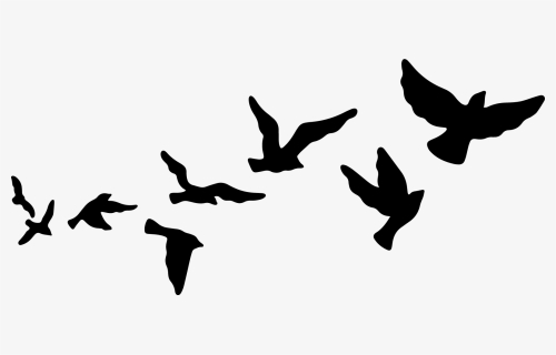 Flying Birds Clip Art, HD Png Download, Free Download
