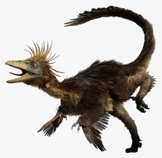 Walking With Dinosaurs Troodon, HD Png Download, Free Download