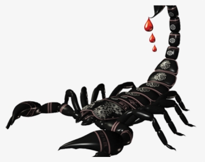 Scorpio Png Transparent Images - Scorpion Png, Png Download, Free Download