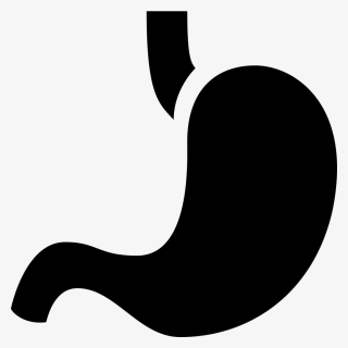 Stomach - Stomach Icon, HD Png Download, Free Download