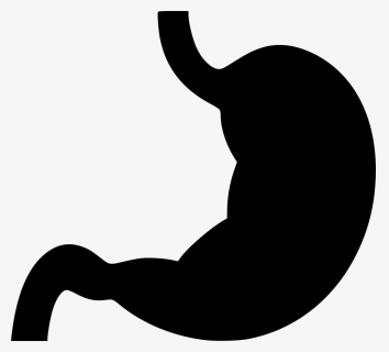 Stomach - Stomach Png Icon, Transparent Png, Free Download