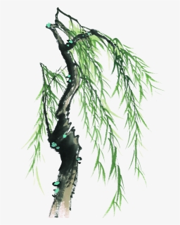 This Graphics Is Painted Willow Tree Element Design - 柳树 国画, HD Png Download, Free Download