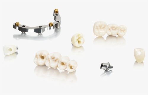 Prosthetic Rehabilitation Courses - Earrings, HD Png Download, Free Download