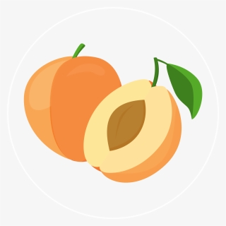 Apricot-icon - Peel, HD Png Download, Free Download