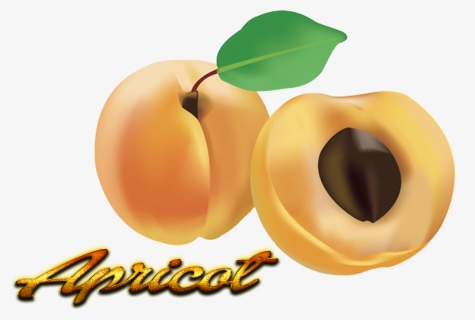 Fruit Clipart , Png Download - Fruit, Transparent Png, Free Download