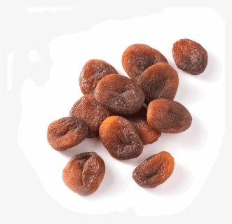Apricot , Png Download - Chocolate, Transparent Png, Free Download