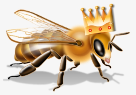 Transparent Bee Transparent Png - Bee Hazard Icon, Png Download, Free Download
