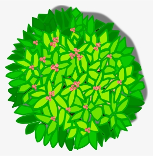 Tree Top View Clipart , Png Download Transparent Png - Tree Top View Clipart, Png Download, Free Download