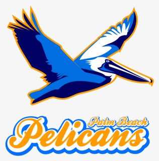 Pelicanlogo - Bird Of Prey, HD Png Download, Free Download