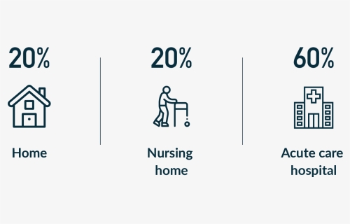 Infographic On How People Die 20% At Home 20% In Nursing - Graphic Design, HD Png Download, Free Download