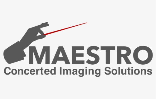 Maestro Image Clean Developer, HD Png Download, Free Download