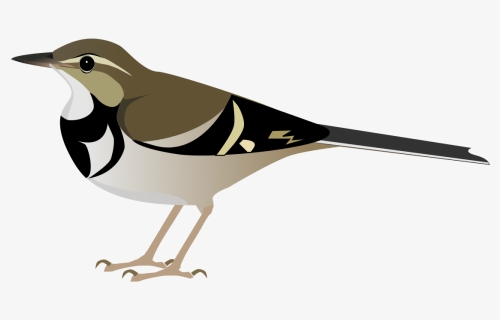 Transparent Mockingbird Clip Art - Mockingbird Pixelart, HD Png Download, Free Download