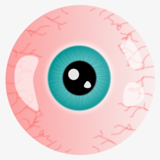 Eyeball - Clip Art, HD Png Download, Free Download