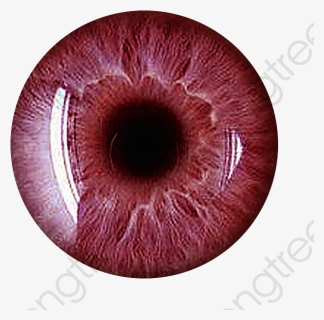 Transparent Eye Iris Png - Red Eye Lens Png, Png Download, Free Download