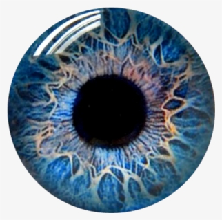 #bluecontacts #contacts #eyes #eyeball #eyecolor - Circle, HD Png Download, Free Download