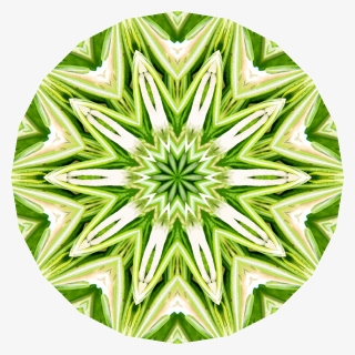 Rosemary Kaleidoscope 1 Clip Arts - Illustration, HD Png Download, Free Download
