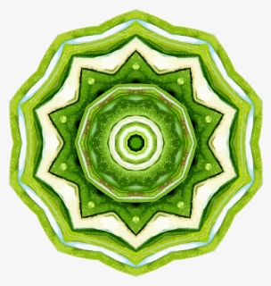 Rosemary Kaleidoscope 17 Clip Arts - Circle, HD Png Download, Free Download